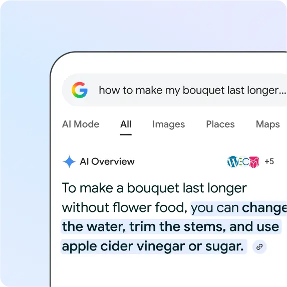 AI SERP Overviews